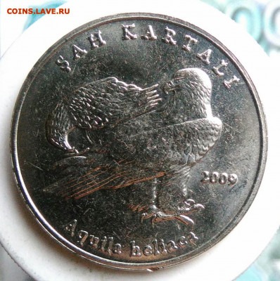 Турция 1 лира 2009 года Орел Могильник до 02.10.2019 - IMG_20190719_181145