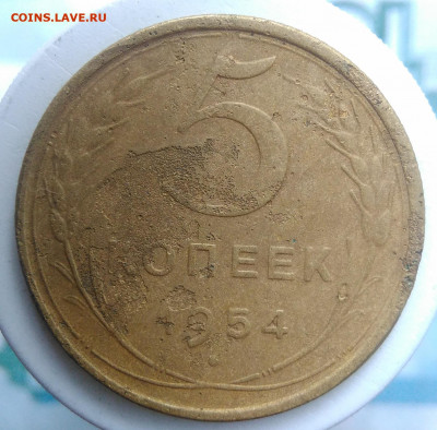 5 копеек 1954 года до 02.10.2019 - IMG_20190828_163542
