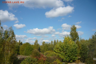 перекличка городов по температуре - P1280025.JPG
