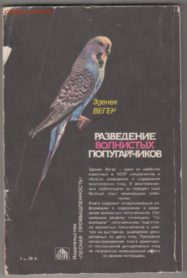 Разведение волнистых попугайчиков  до 05.10.19 г. в 23.00 - 007