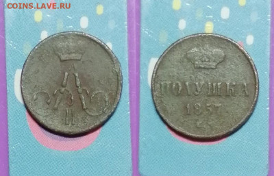 Альбом с медными монетами - IMG_20190929_124144