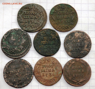 8 полушек 1730,35,34,38,36,50 года до 01.10.19-22-00 - P9290197.JPG
