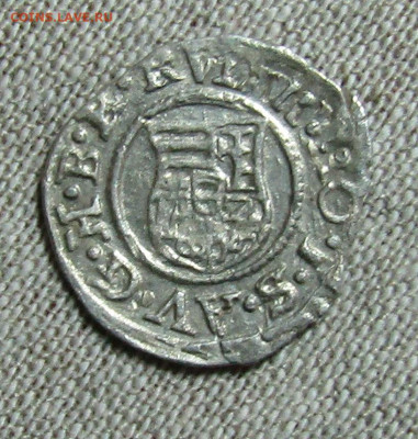 Венгрия, динар 1590г. Рудольф II - IMG_1623.JPG