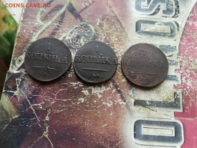 1 копейка 1831 СМ, 3 штуки до 02.10.2019 - 1831 (62) - копия
