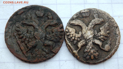 2 полушки 1740, 1741 года до 01.10.19-22-00 - P9290196.JPG