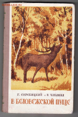 В Беловежской Пуще 1954 г. до 06.10.19 г. в 23.00 - 001