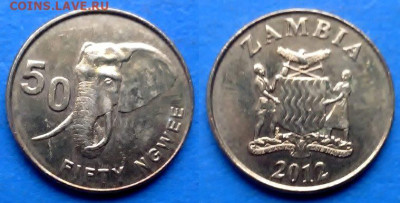 Замбия - 50 нгве 2012 года (Слон) до 5.10 - Замбия 50 нгве, 2012