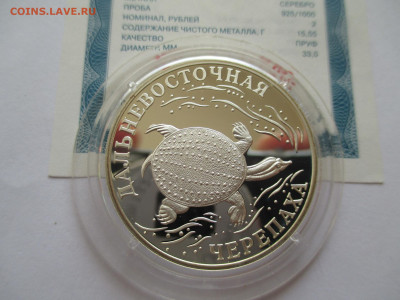 2р 2003 Дальневосточная черепаха - IMG_0261.JPG