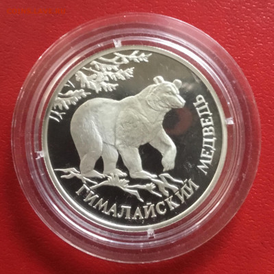 1 рубль 1994 года  Гималайский медведь.До 06.10.19 в 22-00 - 64DD535B-0EB5-4912-8F4A-8120CE0B95C0
