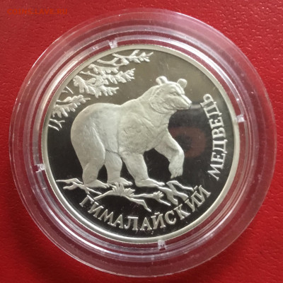 1 рубль 1994 года  Гималайский медведь.До 06.10.19 в 22-00 - 8B7C9D33-3695-4EC4-A7A9-D93C2668F607