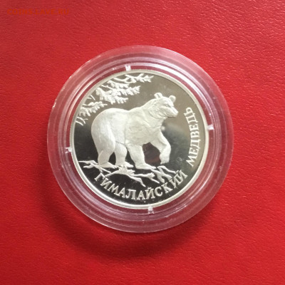 1 рубль 1994 года  Гималайский медведь.До 06.10.19 в 22-00 - 880EF8A5-3755-41BD-BDEA-FD15FC6298F0