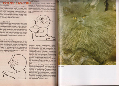 Katzenfreund 1987 г. до 07.10.19 г. в 23.00 - 036