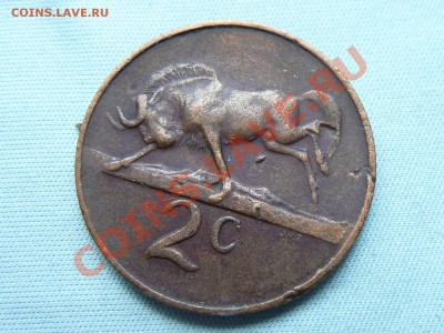 ЮЖНАЯ АФРИКА 2 cents 1966г.АНТИЛОПА ГНУ до 26.07.11 г. в 22 - MEMO0023.JPG