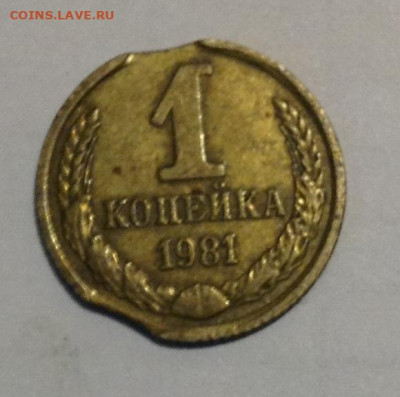 1 коп двойной выкус+1 коп поворот до 5.10 - IMG_2373.JPG