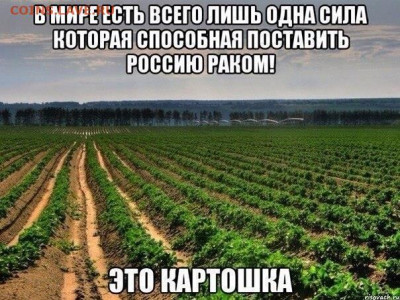 юмор - jA0fk1QdFTc