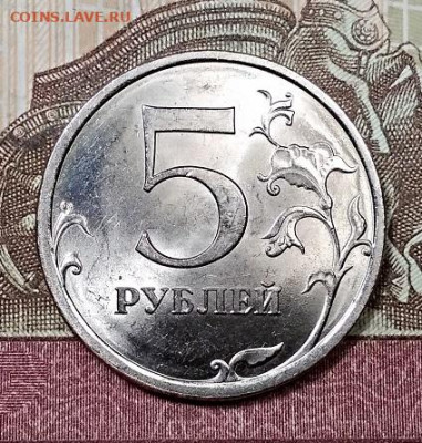 5 р 2009 СПМД НЕМАГН.МЕШК.ОЧ.ЯРК.ШТ.БЛ. 5.10.2019 - 006