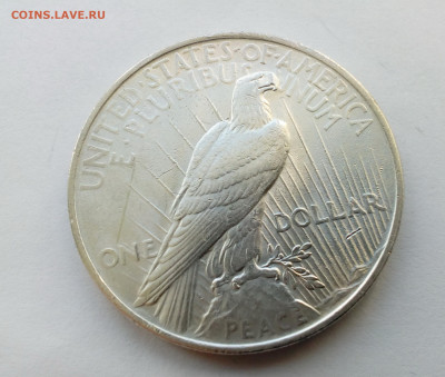США. 1 доллар 1923(Мирный) до 04.10.19 - 1д1923(2)