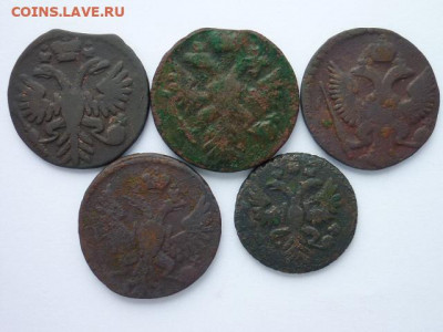 Денга 1731,43,,44,48; Полушка 1731; до 06.10.19Г, 21.00 - P1030389.JPG