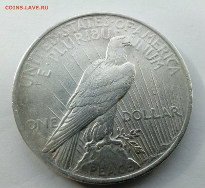 США. 1 доллар 1922(Мирный) до 04.10.19 - д2