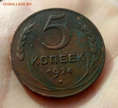 5 копеек 1924 до 4.10.19 22-00 мск - P91003-092334