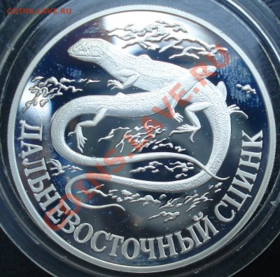 1 рубль 1998 Дальневост.сцинк до 26.07.11(21-00) - сцинк рев 98.JPG