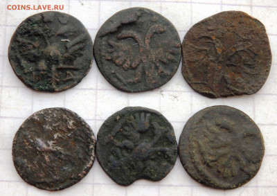 24 полушки ВРП до 05.1.19-22-00 - PA030239.JPG