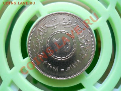 Египетская Монета В Блеске. Окончание в 20.50, 27.07.2011. - 11.JPG
