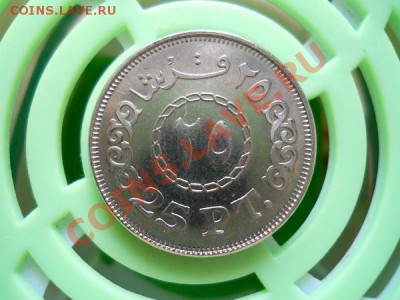 Египетская Монета В Блеске. Окончание в 20.50, 27.07.2011. - 10.JPG