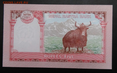 Непал 5 рупий 2017 год до 09.10.2019 - IMG_20191004_161654