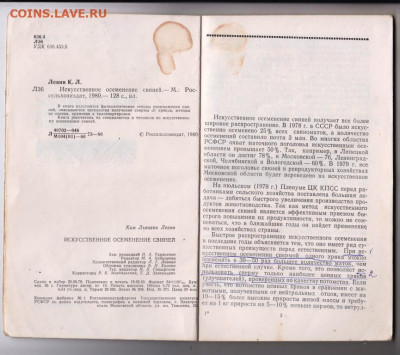 Искусственное осеменеие свине 1980 г. до 11.10.19 г. в 23.00 - 014