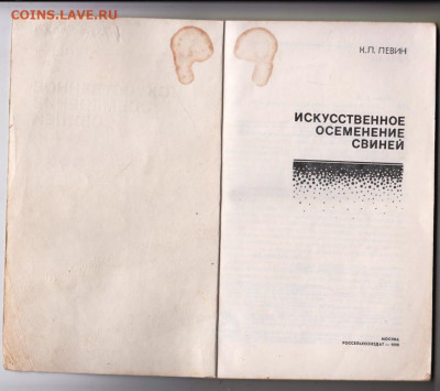 Искусственное осеменеие свине 1980 г. до 11.10.19 г. в 23.00 - 015