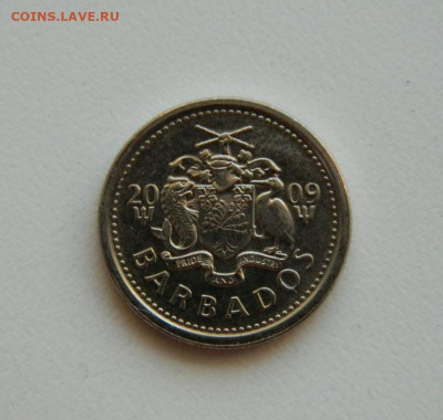 Барбадос 10 центов 2009 г. (Фауна) без оборота. до 10.10.19 - DSCN9976.JPG