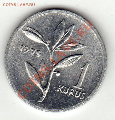Турция куруш 1975 до 25.07.11 в 22.00мск (149) - img612