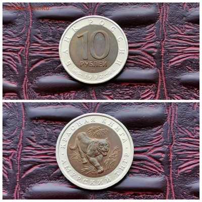 Красная книга 1992 год. Амурский Тигр. Хороший. До 11.10 - IMG_20190806_151013