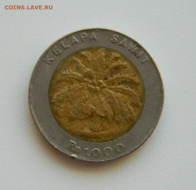 Индонезия 1000 рупий 1996 г. (БИМ). до 10.10.19 - DSCN9988.JPG