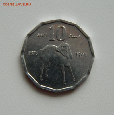 Сомали 10 центов 1976 года (Фауна)без оборота. до 10.10.2019 - DSCN9873.JPG