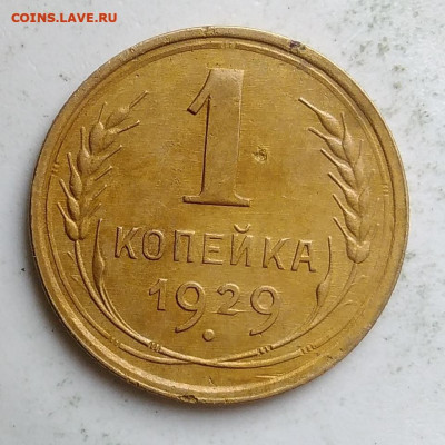 1 копейка 1929 года до 09.10.2019 - IMG_20190917_144005