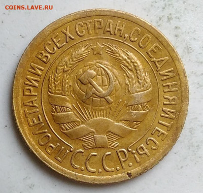 1 копейка 1929 года до 09.10.2019 - IMG_20190917_144011