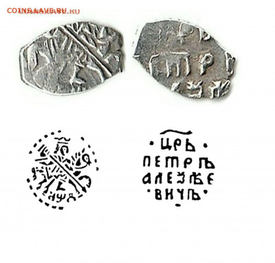 определение чешуек по КГ (пополняемая) - 2021