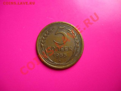 5 коп. 1955г. до 27.07.2011 в 22:00 МСК - IMG_0958.JPG