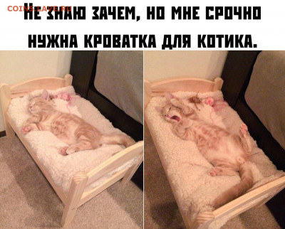 делает - прямо сейчас !!! - 7bewb1LCNKY