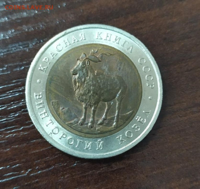 КРАСНАЯ КНИГА ВИНТОРОГИЙ КОЗЕЛ 2 ДО 10.10.2019 В 22.22 МСК - козел1