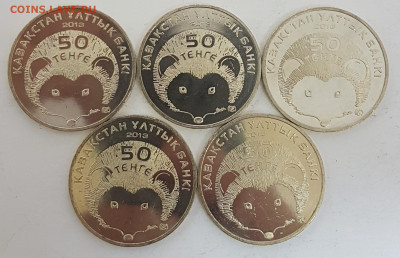 5 ШТУК Казахстан Длинноиглый Еж с 200р до 10.10.2019 в 22.00 - еж1