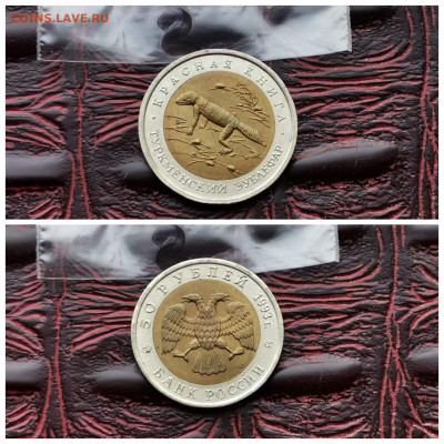 Красная книга 1993 год. В патине. Зублефар. До 11.10. N2 - IMG_20190719_085440