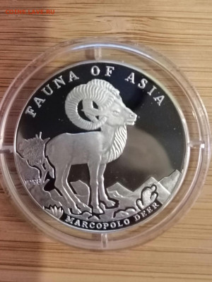 Афганистан 500 афганей баран - IMG_20191007_215717