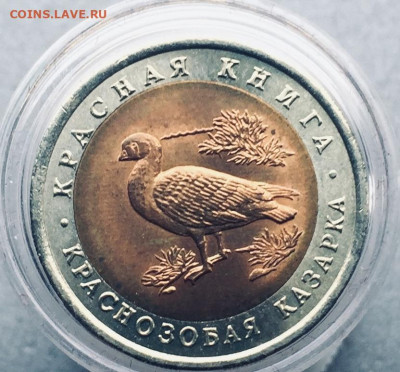 10 рублей 1992 Краснозобая Казарка до 12.10 - IMG_2150