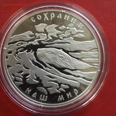 3 рубля 2008 года Речной бобр. До 14.10.19 в 22-00 - 04C908BC-C223-44DF-832B-376C1E8555F9