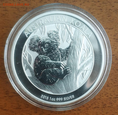 Австралия 1 доллар Коала 2013 до 11.10 22-00 мск - Koala 2013_1