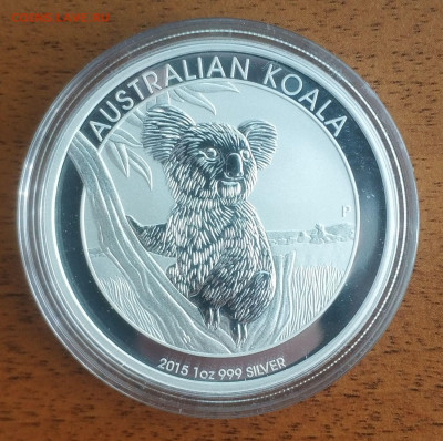 Австралия 1 доллар Коала 2015 до 11.10 22-00 мск - Koala 2015_1