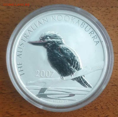 Австралия 1 доллар Кукабурра 2007 до 11.10 22-00 мск - Kukaburra 2007_1